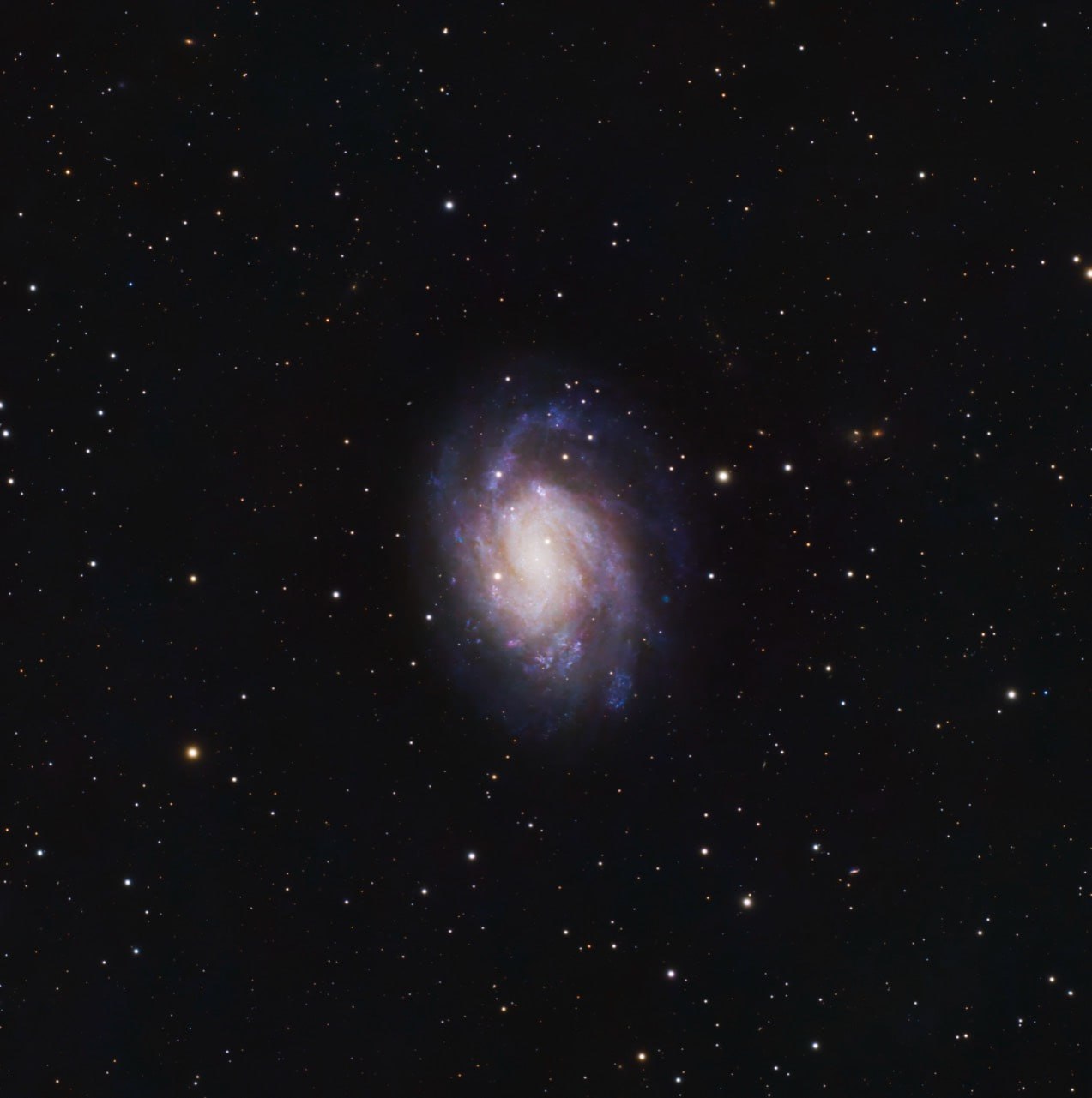 The softly glowing core and blue spiral arms of M33, the Triangulum Galaxy, against a dark field of stars.