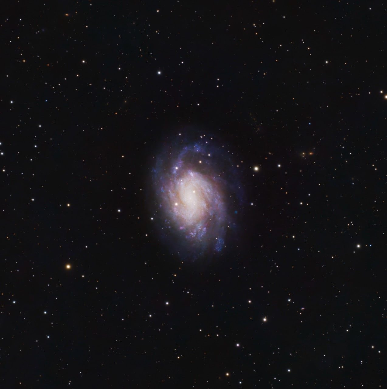 M33 / Triangulum Galaxy — processed reference.