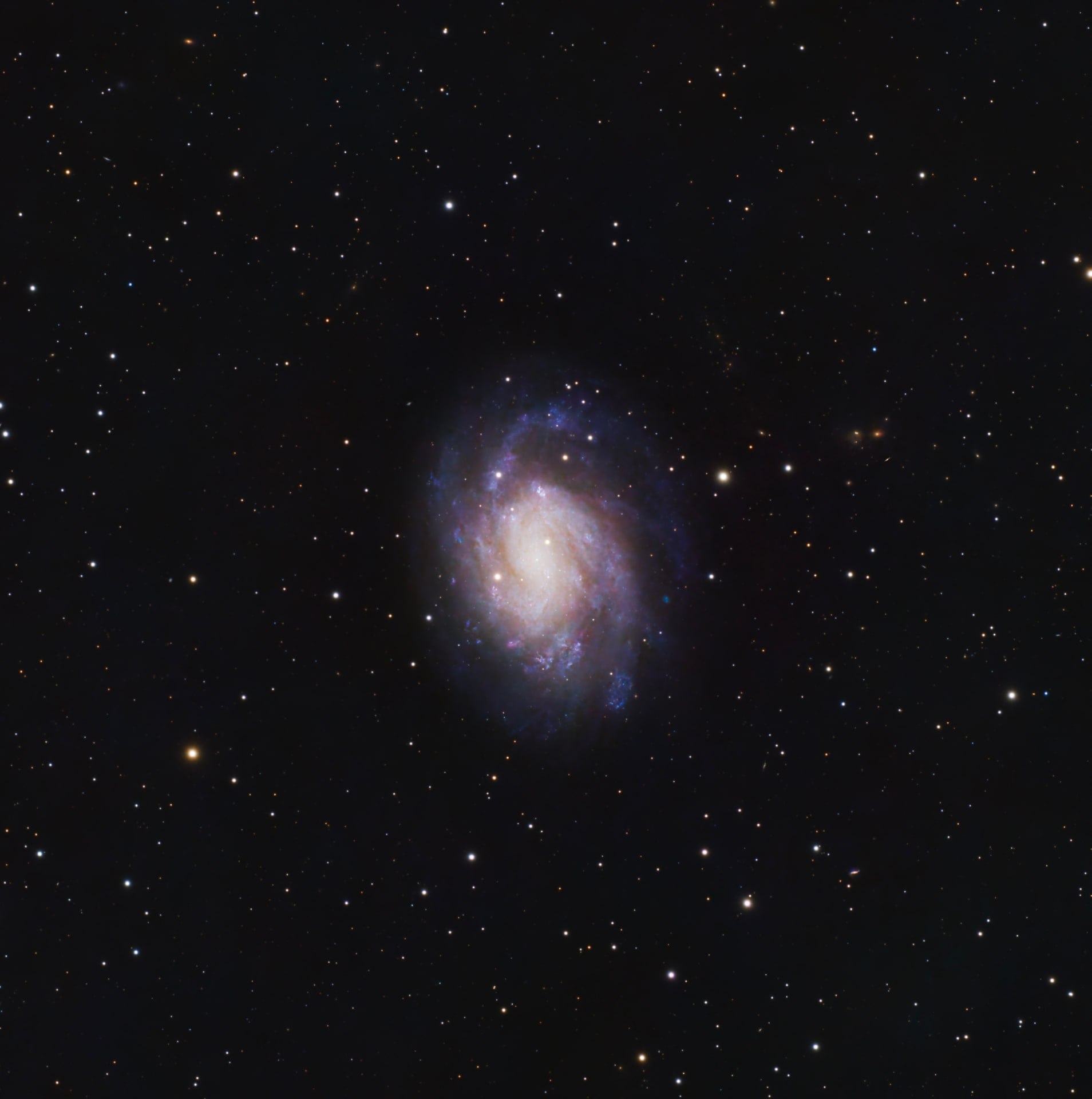 The face-on spiral galaxy NGC 300 surrounded by a sparse field of stars.