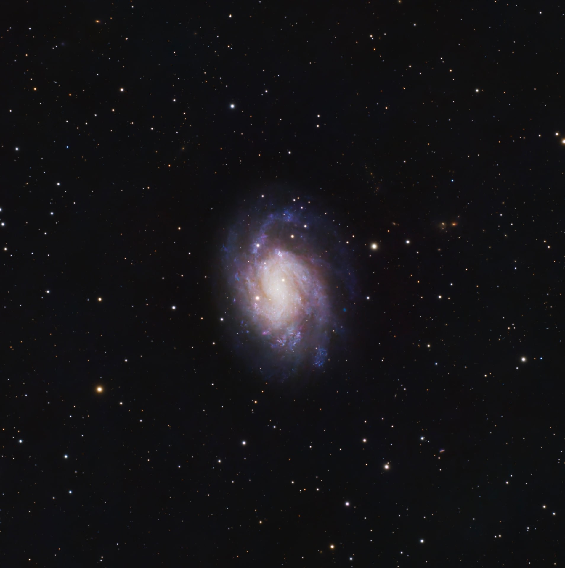 The face-on spiral galaxy NGC 300 surrounded by a sparse field of stars.