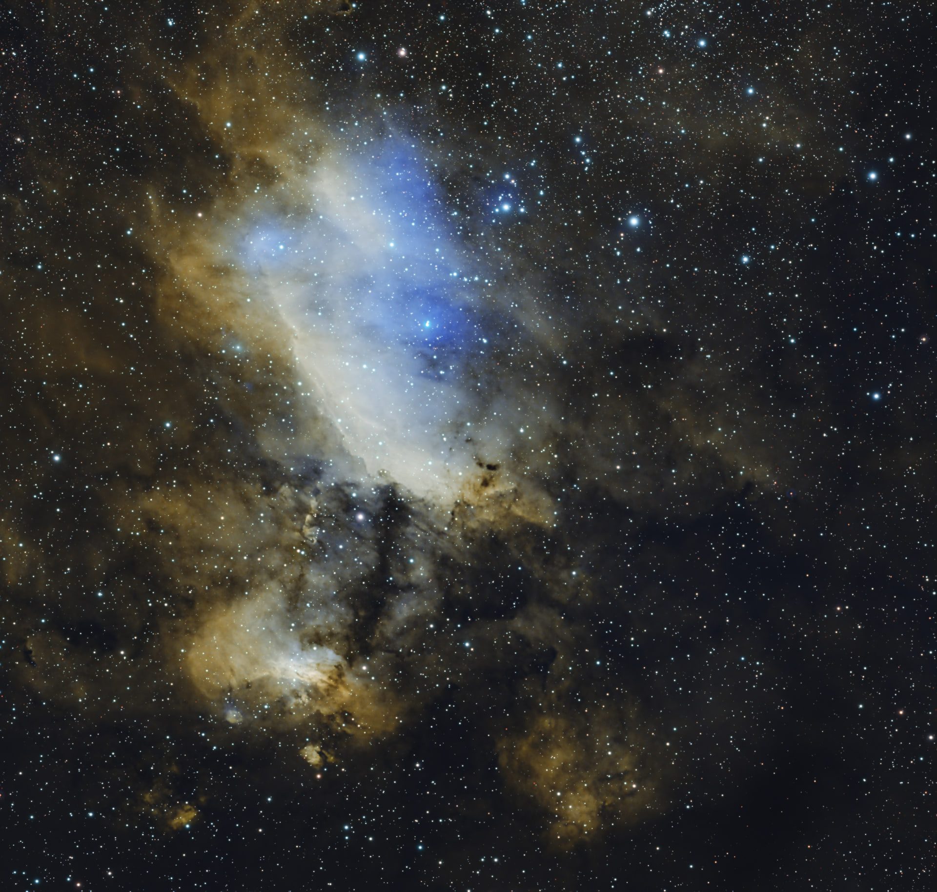 Prawn Nebula — processed reference.