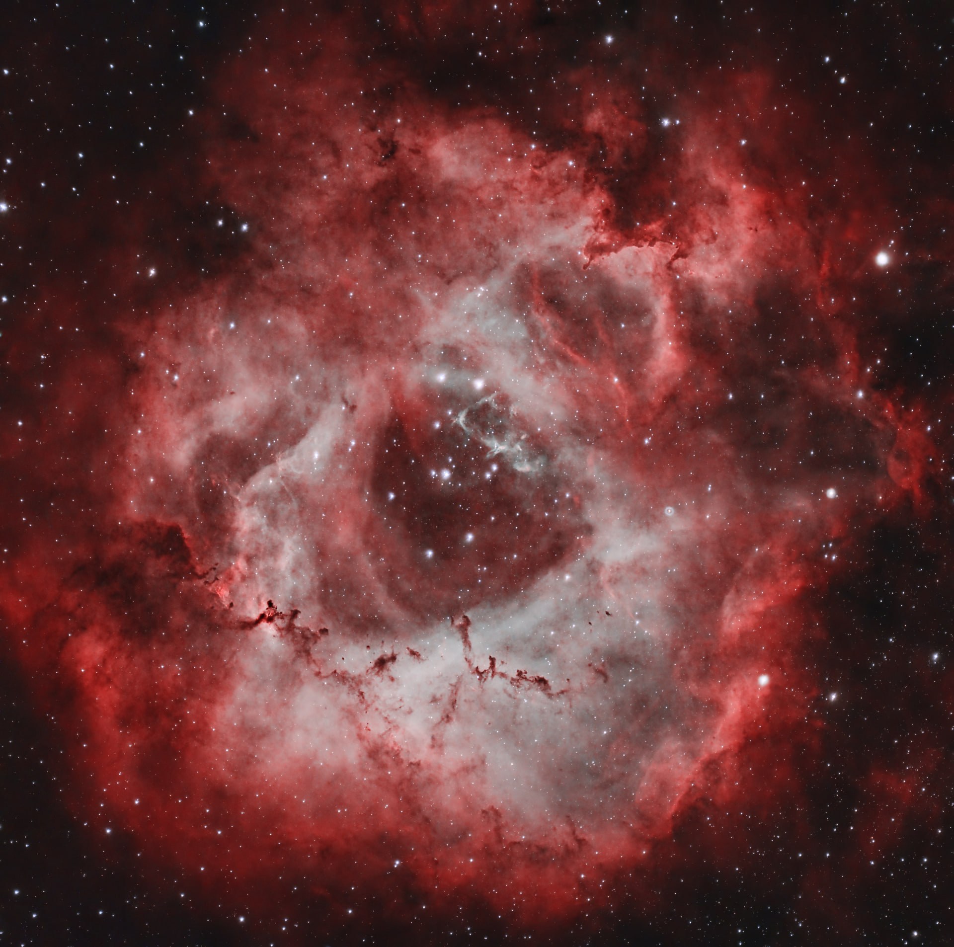 Red and pale glowing clouds around the dark central cavity of the Rosette Nebula, with dark dust and scattered stars.