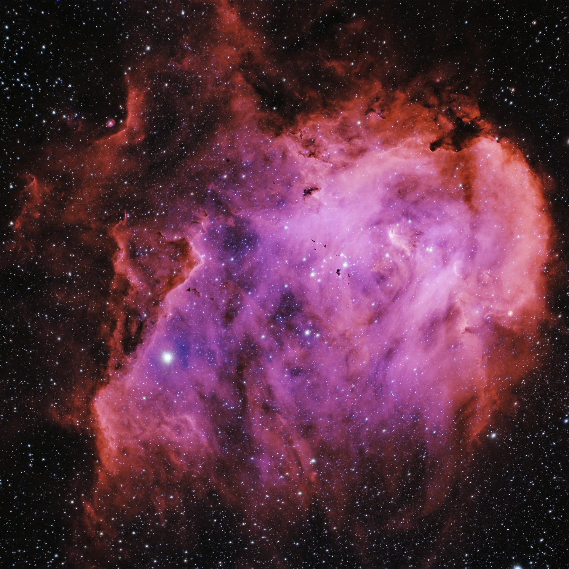 Running Chicken Nebula — processed reference.
