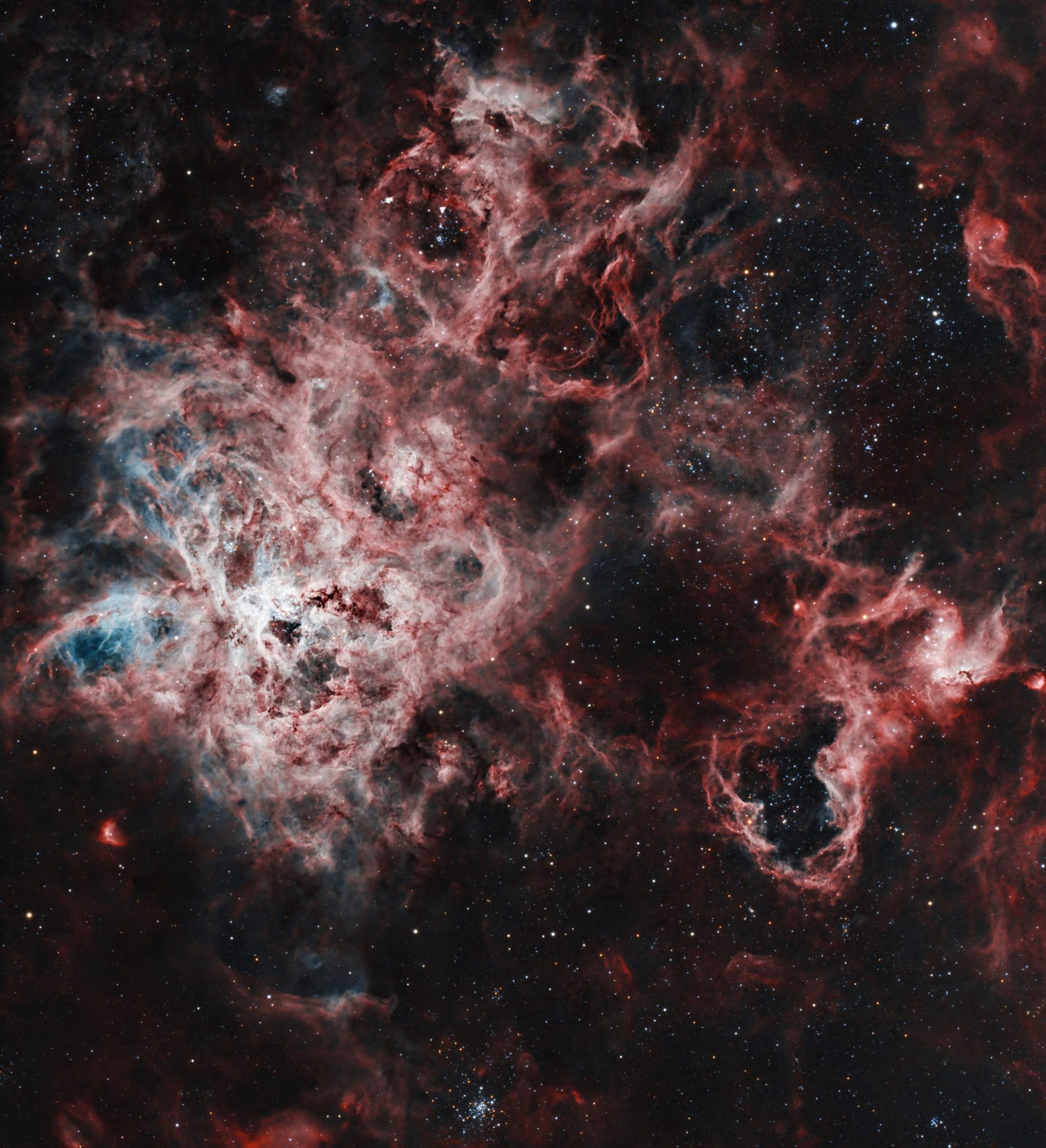 Tarantula Nebula (1000mm) — processed reference.
