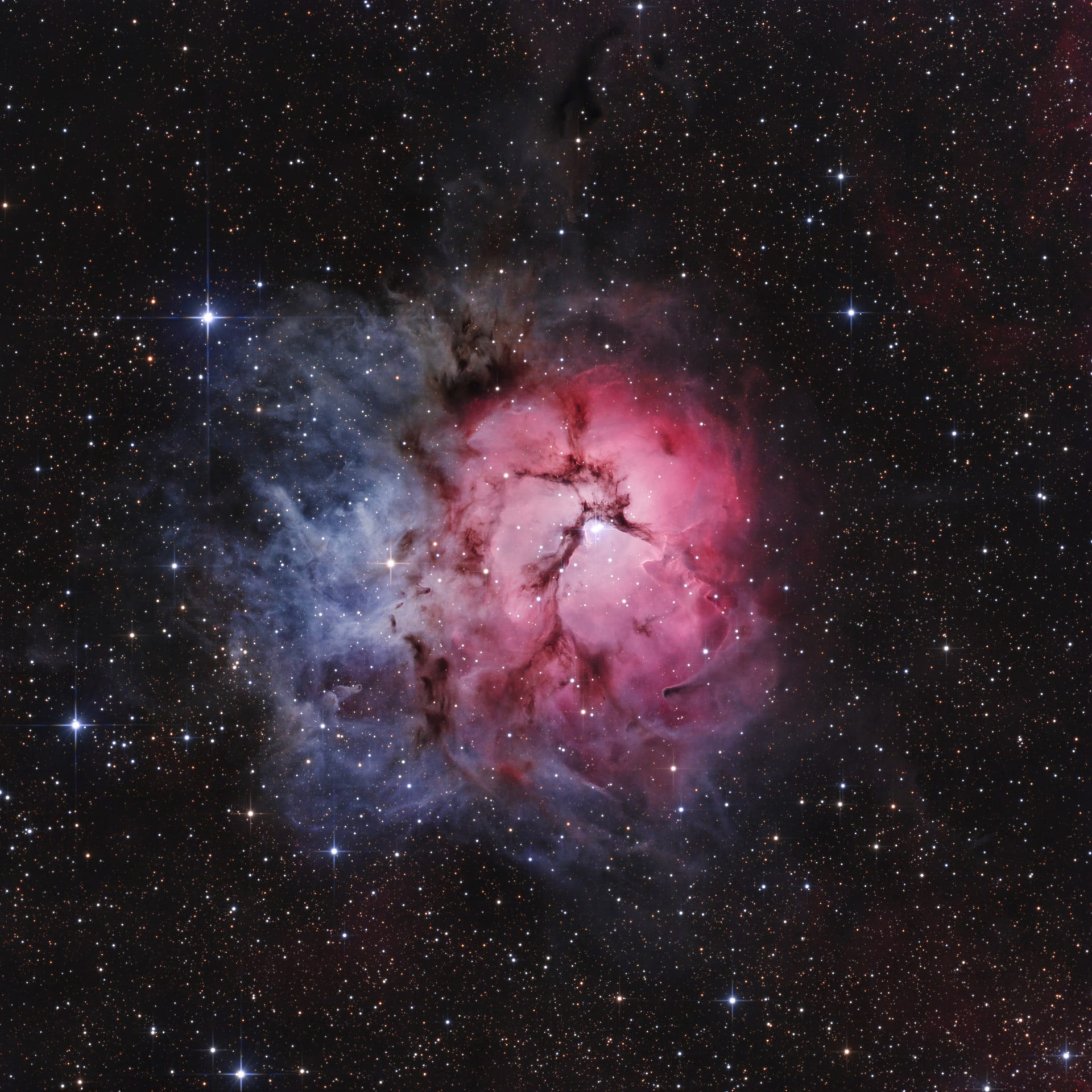 Trifid Nebula (1000mm broadband) — processed reference.